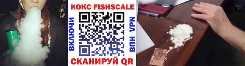 Купить закладки  Эртиль  Кокаин Fish Scale 